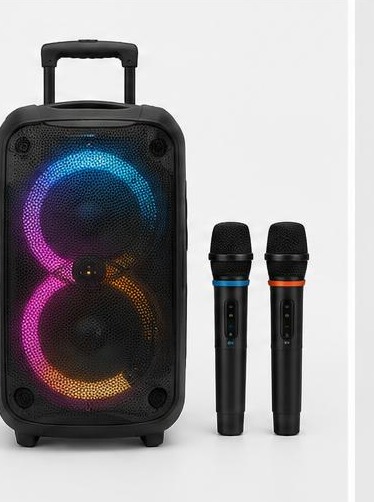 Karaoke speaker and microphone duo