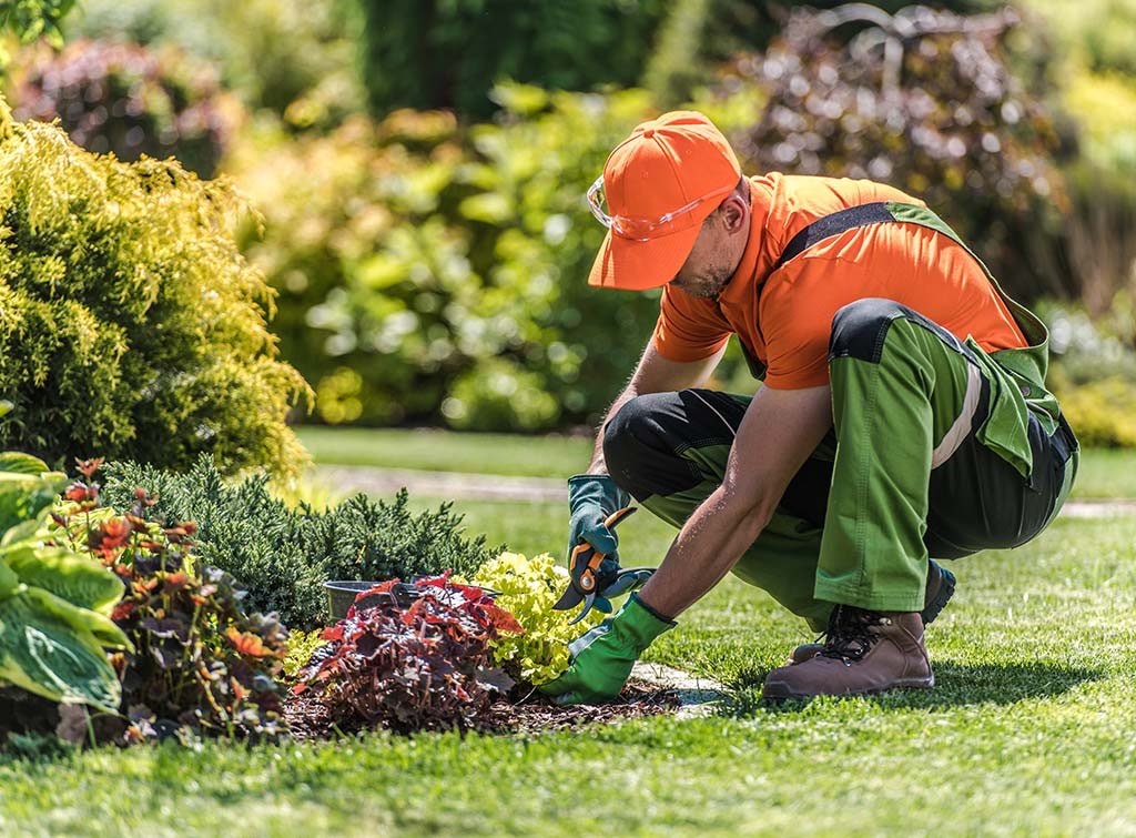 Pro gardening services