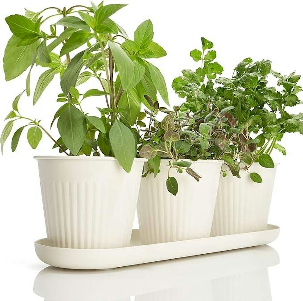 KIBAGA Beautiful Herb Garden Planter Indoor Set of 3